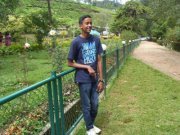 Nikhil Roy