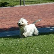 Andres Albajar gomez