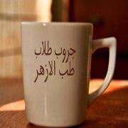 Hamed Mohamed