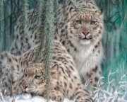 غفرانك ورضاك