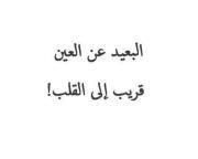 Abeer Allouh