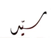 Sayed Sayed