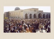 إسلام عبد الحليم