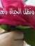 نغم الحياة