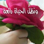 نغم الحياة