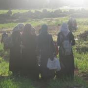 سارة الحلبية