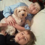 Priscilla Elder briggs