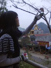 Hương Giang