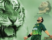 Naqqash Saif