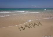 Hanan Fawzy