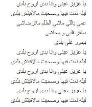 مرفت أمين ابوالعنين