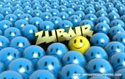زبیر مراد