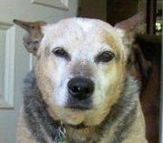 Barbara Howell clavier