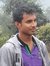 Pintu G...