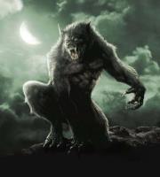 Alfredo Cárdenas rivera