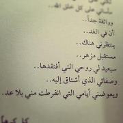 Menna Sheta