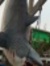 Srijan ...