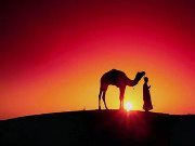 Wan Mohammad