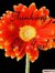 Saurabh...