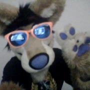 Abby Dingo
