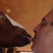 Amanda Ettinger walker