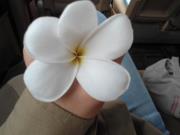 Champadao Srithirath