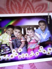 زهرة الياسمين