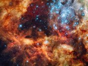 عاصم البهنساوى