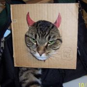 Tsletteringand Graphics