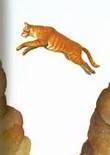 Squirrelflight Flight
