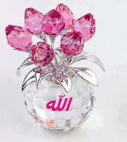 Muhammad Adeel