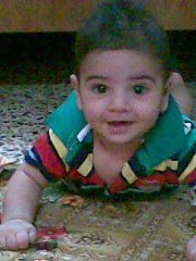 نصير الدليمي