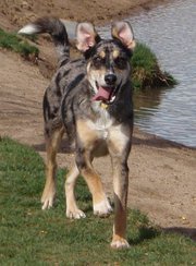JeriBeth