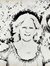 Cynthia Velkovich brown