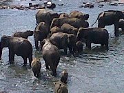 Jennifer Brinkerhoff