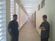 Ammar