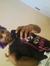 Tamia D...