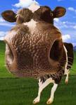 Gabriele 