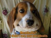 Cindy Lower celaschi