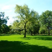 กิตติพร รักษาสัตย์