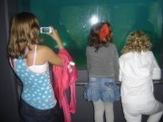 Ariadneandreese Salm