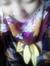 Yunzh C...