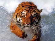 Ishaan Singh