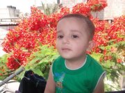 Majed Hamad