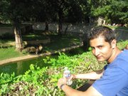 Ashish Rana