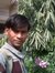 Sanjeet...