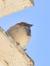 Natasa ...