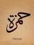 Hamza E...