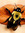 Honey Bee (sometimes I sting) (honeybeeincanada)