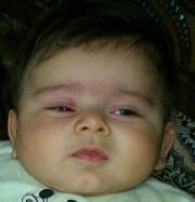 سعيد النحال